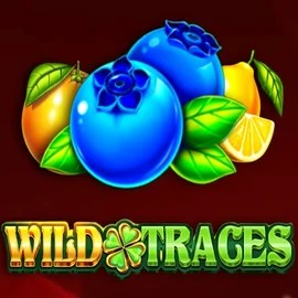 Play Wild Traces slot by Amusnet Interactive on casino-days.co
